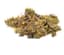 Chocolate Mint Buds 3.50 Gram