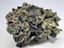 Honeymoon Crasher Buds 3.50 Gram