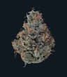 Orange 43 Buds 14 Gram