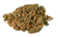 Citroli Buds 14 Gram