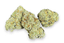 Lemon Slam Buds 14 Gram