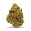 Williams Wonder Buds 3.50 Gram