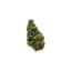 Trainwreck Buds 3.50 Gram