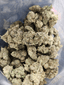 Brown Sugar Buds 7 Gram