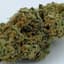 Honey Banana Buds 14 Gram