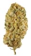 Jack Herer Buds 3.50 Gram