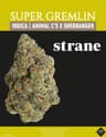 Super Gremlin Buds 14 Gram