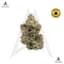 Pineapple Bang Buds 14 Gram