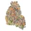 Animal Mints X Bubba Kush Buds 7 Gram