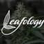 Jet Fuel Gelato Buds 3.50 Gram