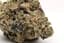 Glitter Bomb Buds 28 Gram