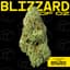 Blizzard Of Oz Buds 1 Gram