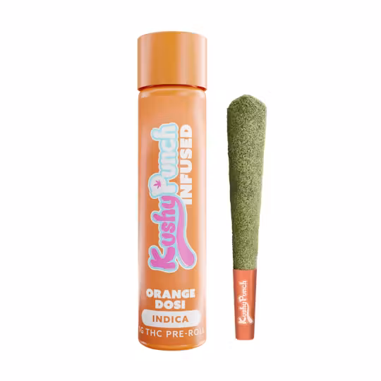 Dosidos 1 Pack Infused Pre Rolls 1 Gram