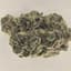 Canal Street Runtz Buds 3.50 Gram