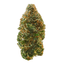 Trainwreck Buds 28 Gram