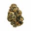 Lemon Cherry Gelato Buds 3.50 Gram