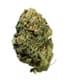 Lemon Fresh Buds 14 Gram