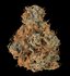 Big Buns Buds 14 Gram