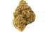 White Widow Buds 28 Gram