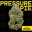 Pressure Pie Buds 1 Gram