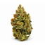 Maui Buds 14 Gram