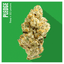 Pledge Buds 3.50 Gram
