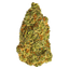 Turbo Diesel Buds 3.50 Gram