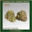 Banana Papaya Buds 14 Gram