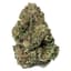 Apricot Head Buds 7 Gram