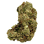 Green Garlic Buds 28 Gram