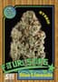 Blue Limeade Buds 7 Gram
