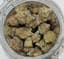 Money Buds 3.50 Gram