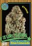 Blue Limeade Buds 3.50 Gram