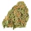 Granddaddy Purple Buds 3.50 Gram