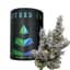 Glue Dream Buds 3.50 Gram