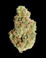 Rainbow Guava Buds 28 Gram