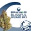 Blissful Wizard Buds 7 Gram