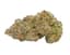 Coffee Creamer Buds 7 Gram