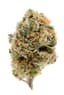 Blueberry Buds 1 Gram