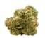 Blue Thai Buds 28 Gram