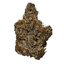 Sweet Heat Buds 1 Gram