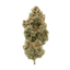 Tangerine Sunrise Buds 3.50 Gram