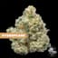 Hydroplane Buds 8 Gram