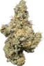 Sugar Cane Buds 3.50 Gram