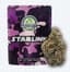Starlink Buds 3.50 Gram