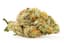 Garlic Haze Buds 28 Gram