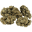 33 Splitter Buds 14 Gram