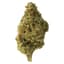 Tropicana Cookies Buds 28 Gram