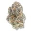 Orange Crush Buds 1 Gram