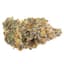 Pineapple Fruz Buds 3.50 Gram